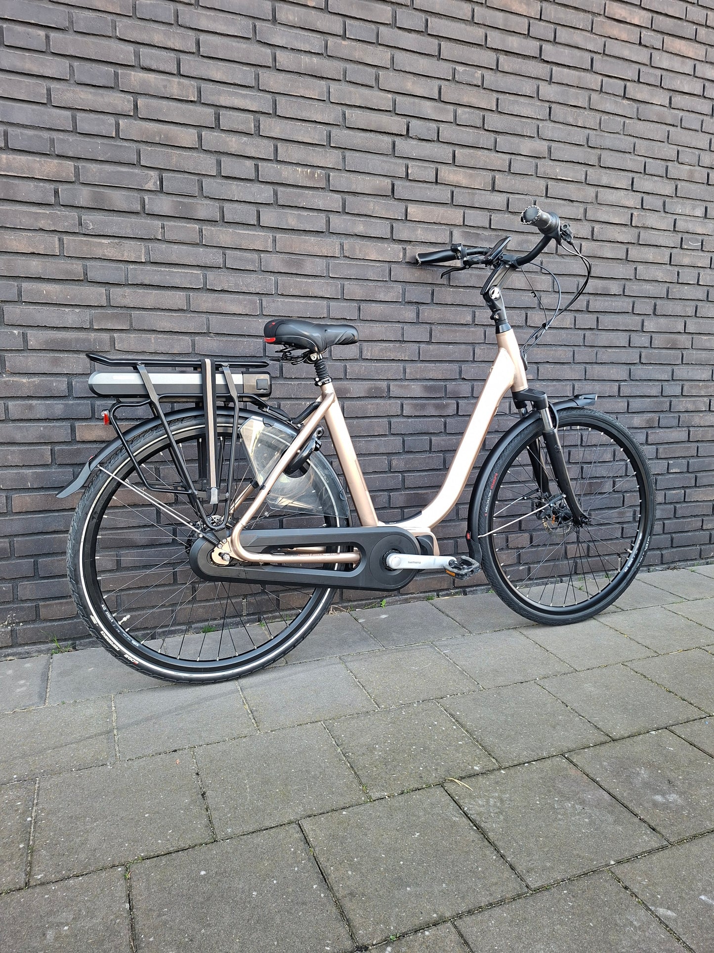 Stella Livorno Gold MDS (53)