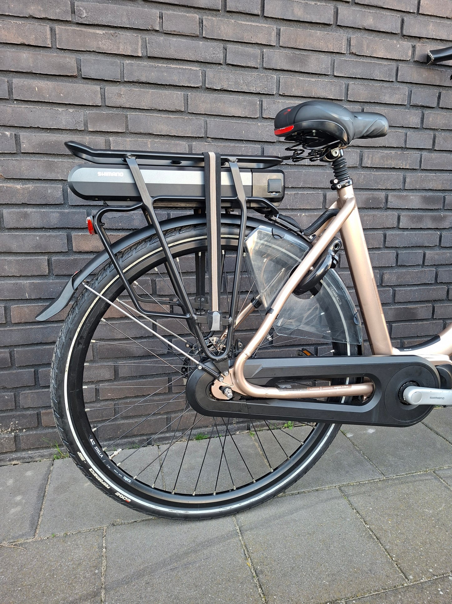 Stella Livorno Gold MDS (53)