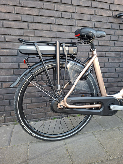 Stella Livorno Gold MDS (53)