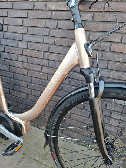 Stella Livorno Gold MDS (53)