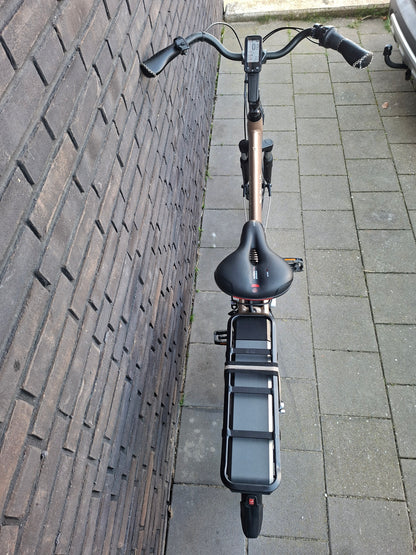 Stella Livorno Gold MDS (53)