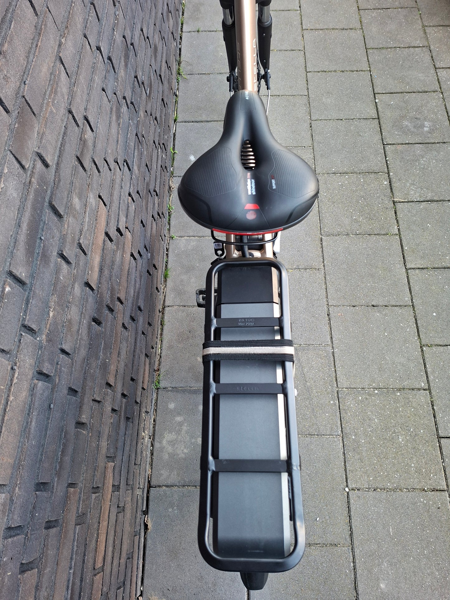 Stella Livorno Gold MDS (53)