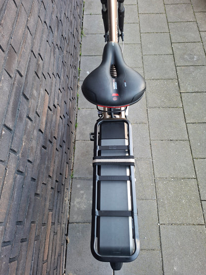 Stella Livorno Gold MDS (53)