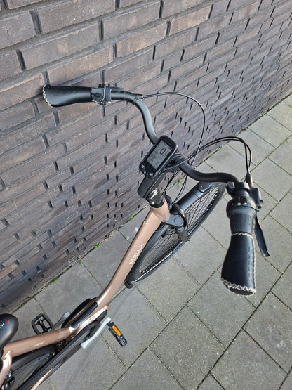 Stella Livorno Gold MDS (53)