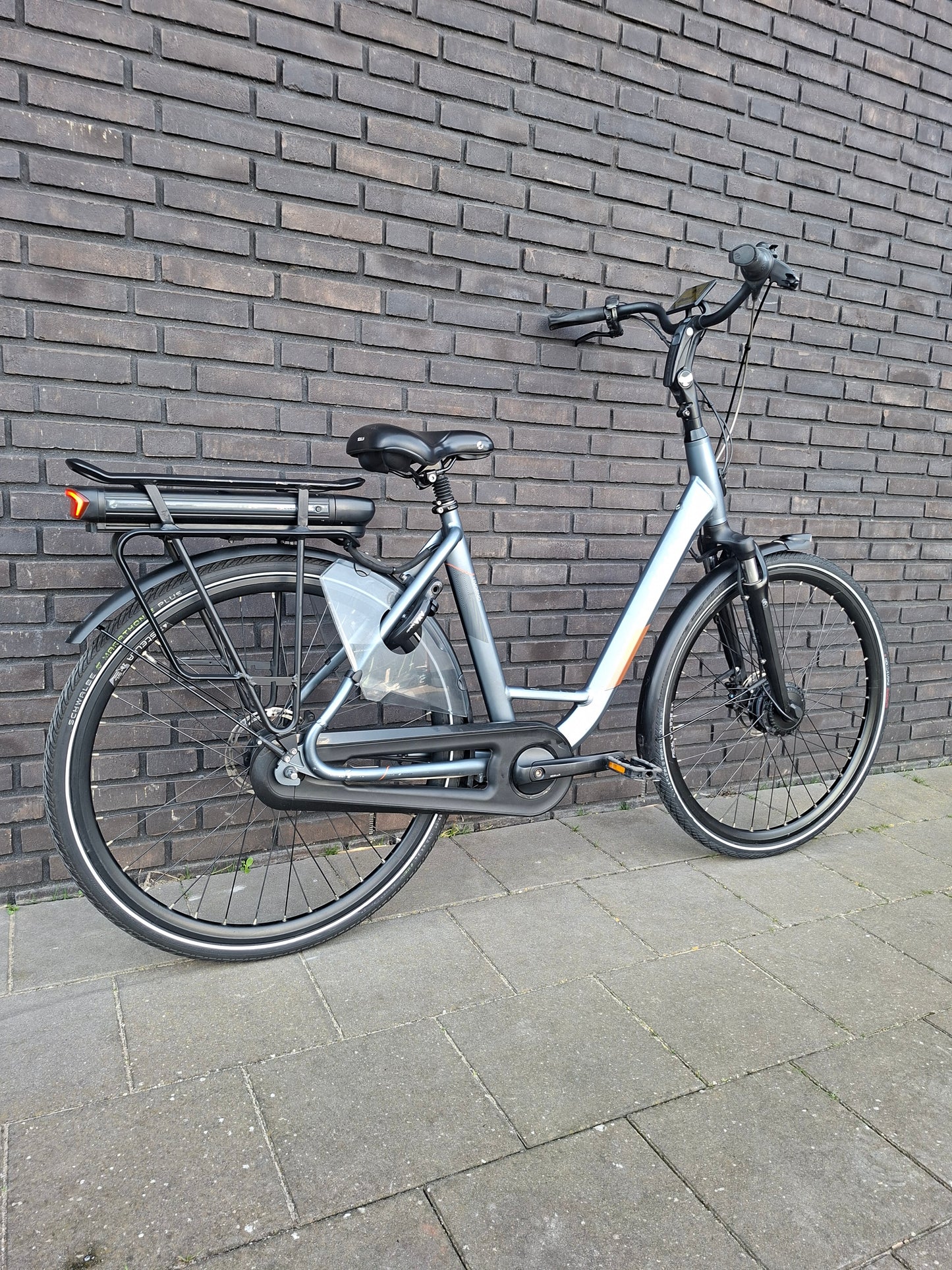 Stella Livorno Frost Blue FDST (53)