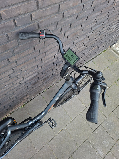 Stella Livorno Frost Blue FDST (53)