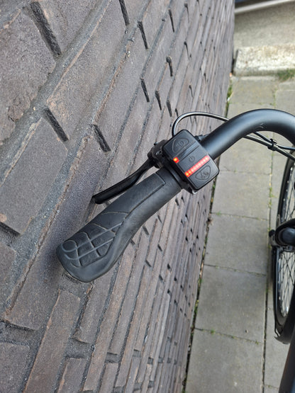 Stella Livorno Frost Blue FDST (53)