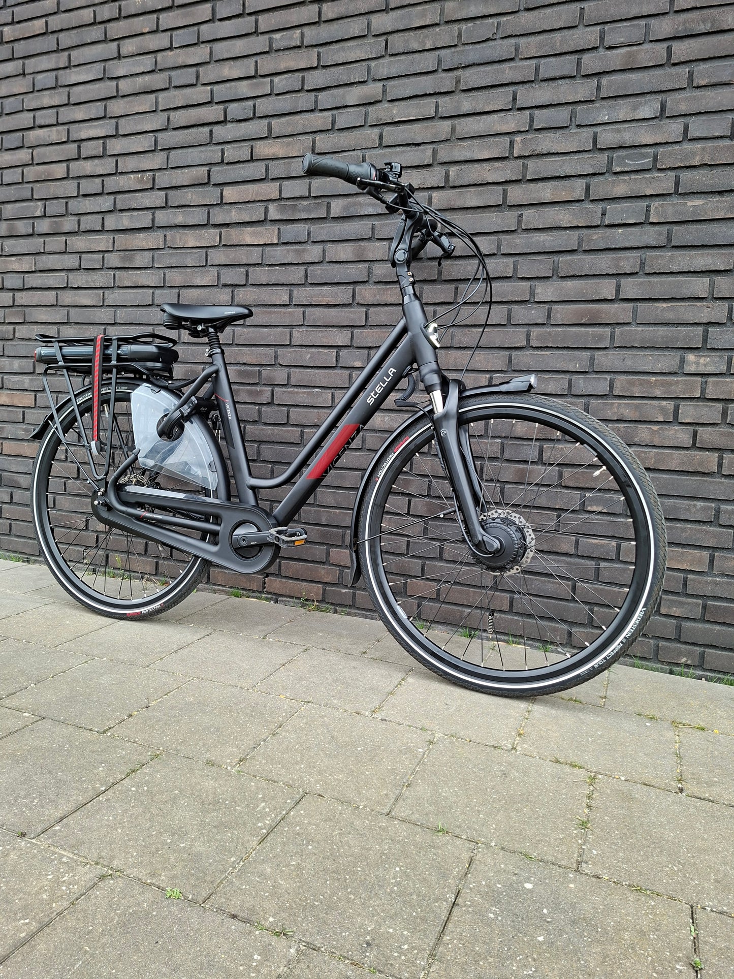 Stella Vicenza Superior FDST (53)