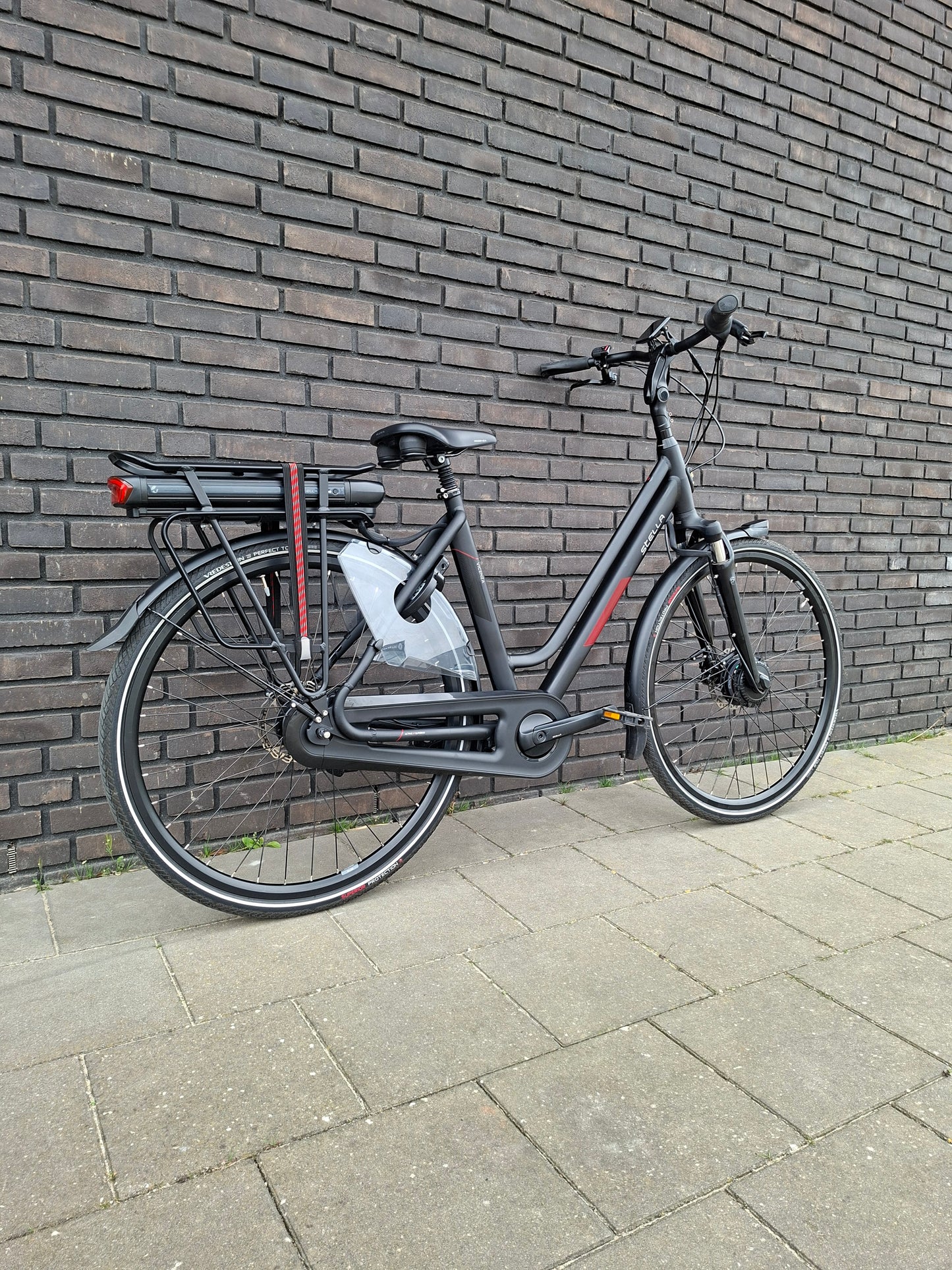 Stella Vicenza Superior FDST (53)