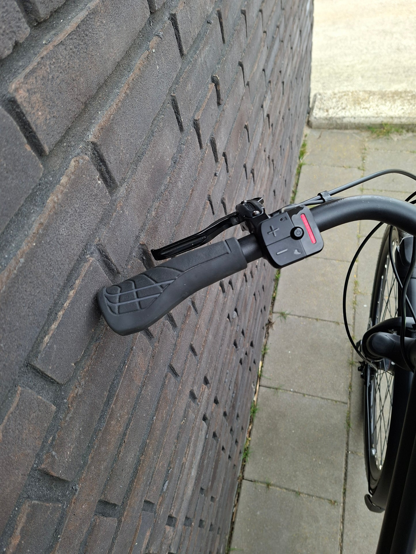 Stella Vicenza Superior FDST (53)