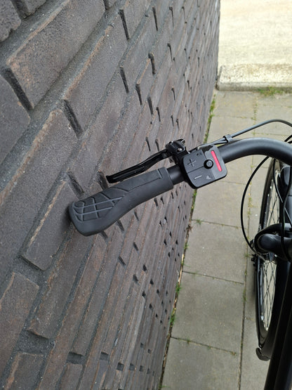 Stella Vicenza Superior FDST (53)