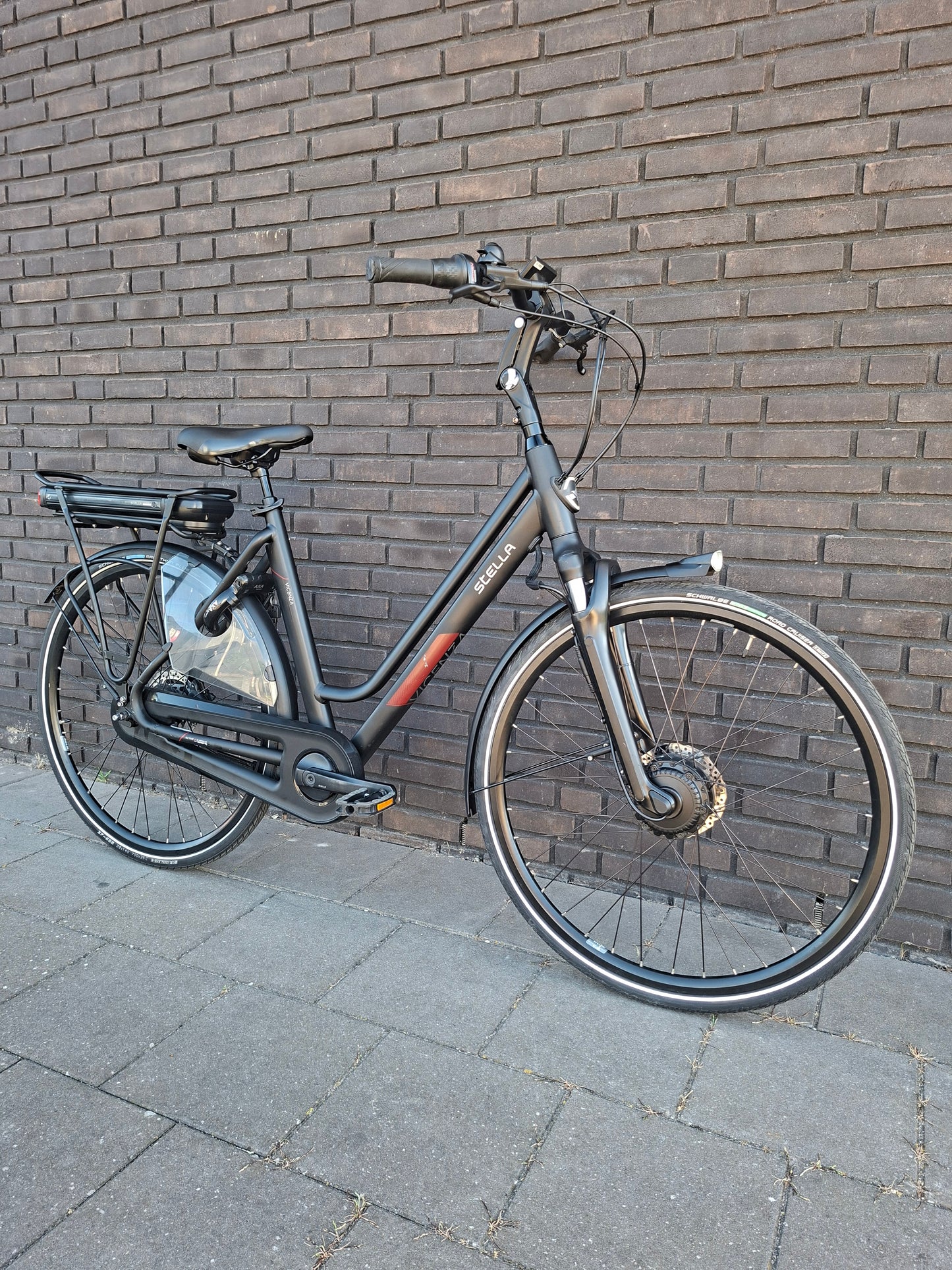 Stella Vicenza Superior FDST (53)
