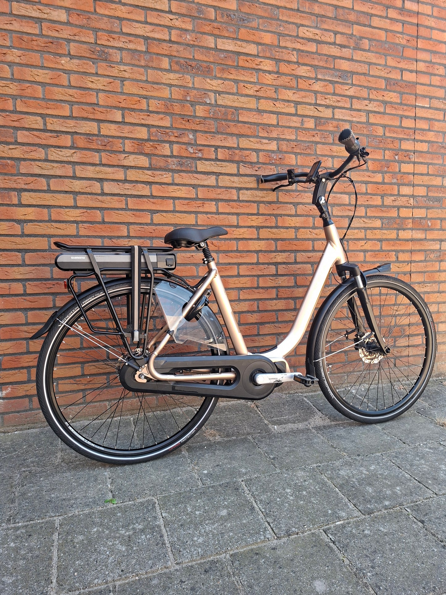 Stella Livorno Gold MDS Middenmotor (53)