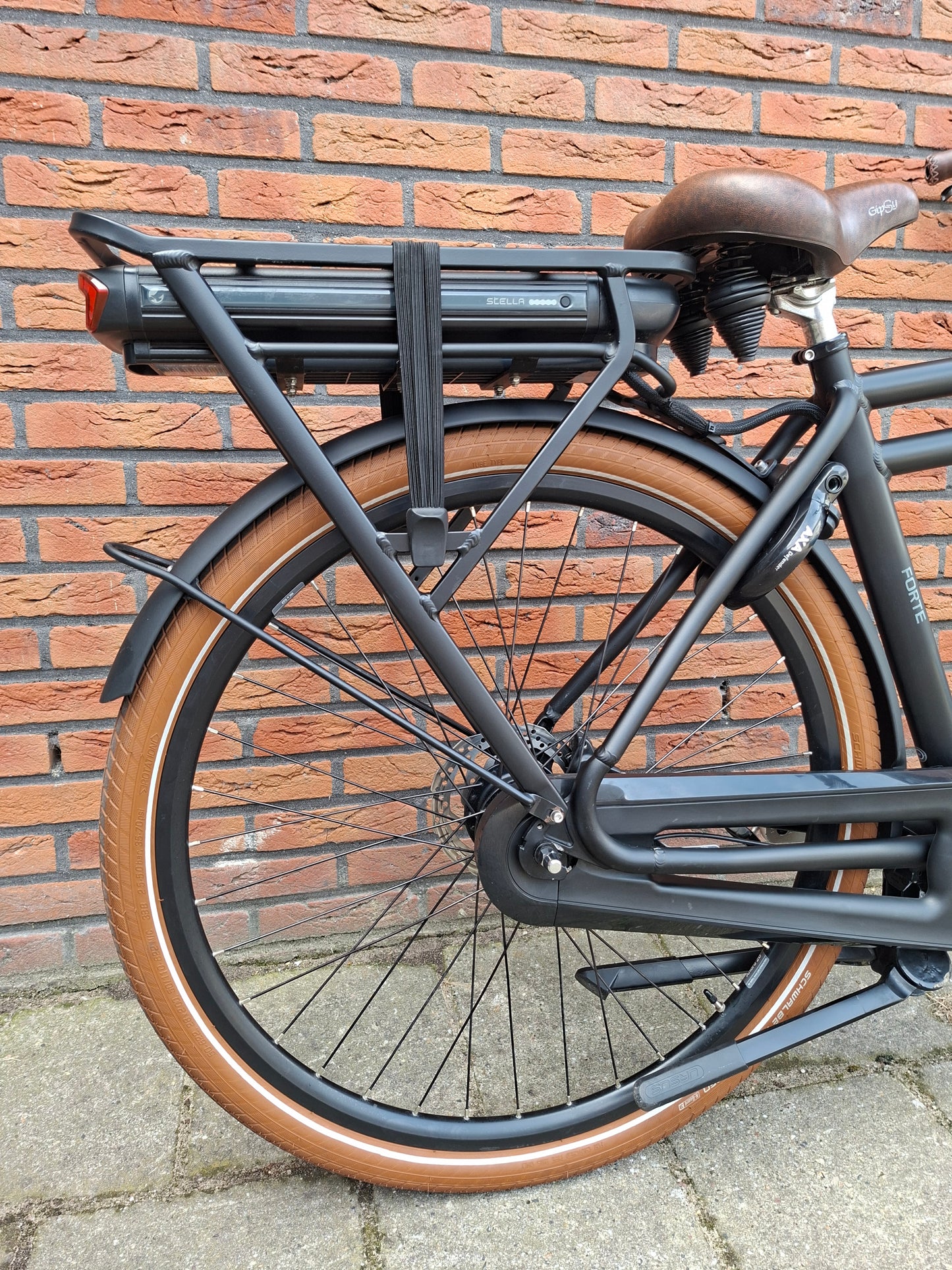 Stella Forte Superior FDST (53)